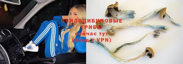 трава Армянск